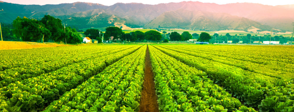 agronegócio, agoranomia, campo, produtividade, sistema de rastreabilidade