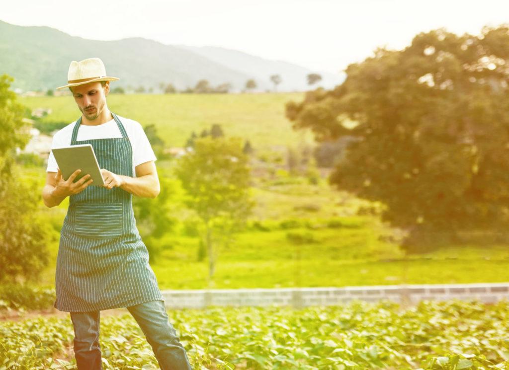 Internet das Coisas e o Agronegócio