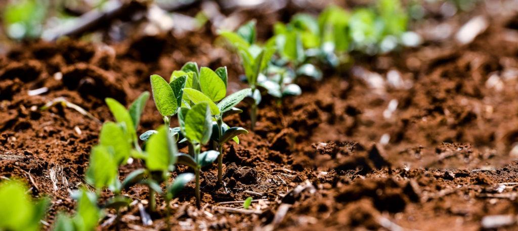 Agricultura e tecnologia