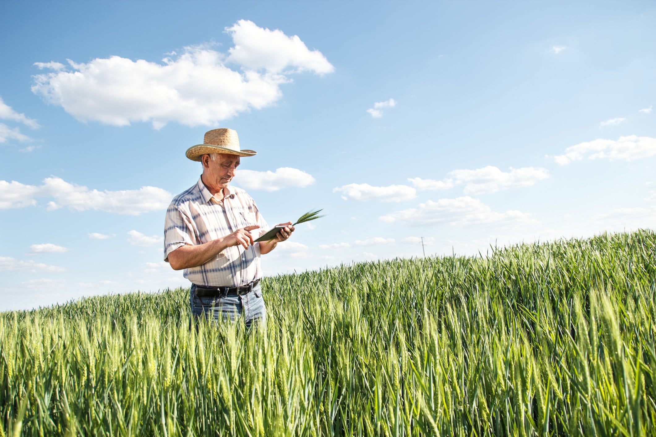 agricultores